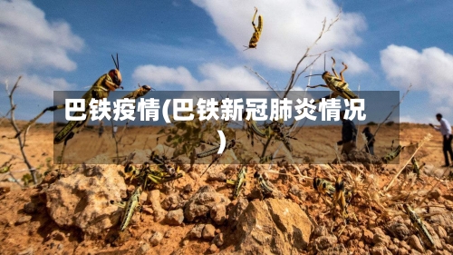 巴铁疫情(巴铁新冠肺炎情况)