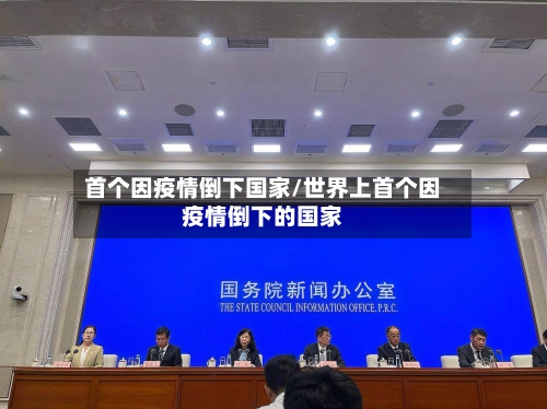 首个因疫情倒下国家/世界上首个因疫情倒下的国家