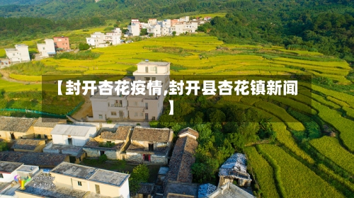 【封开杏花疫情,封开县杏花镇新闻】-第2张图片