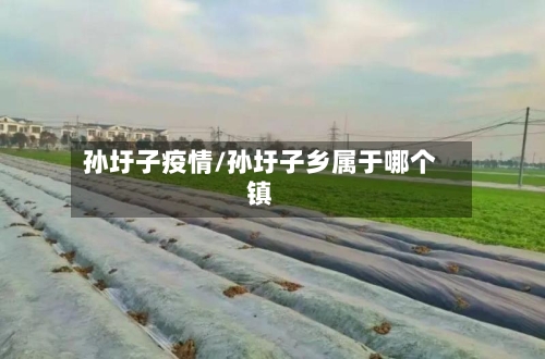 孙圩子疫情/孙圩子乡属于哪个镇-第2张图片