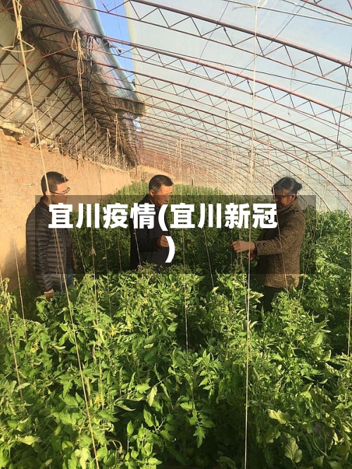 宜川疫情(宜川新冠)