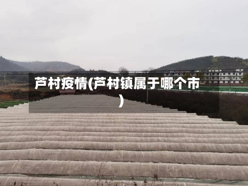 芦村疫情(芦村镇属于哪个市)
