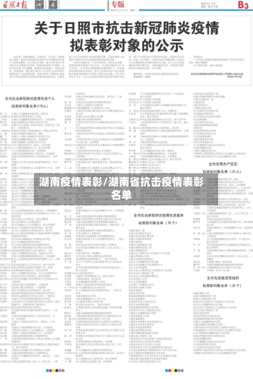 湖南疫情表彰/湖南省抗击疫情表彰名单
