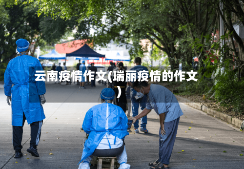 云南疫情作文(瑞丽疫情的作文)-第3张图片