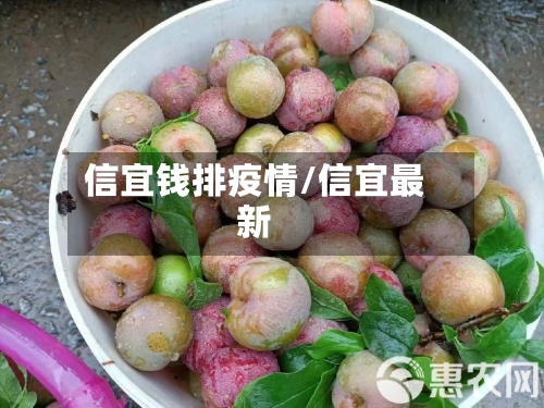 信宜钱排疫情/信宜最新-第2张图片
