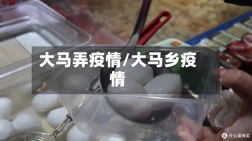 大马弄疫情/大马乡疫情