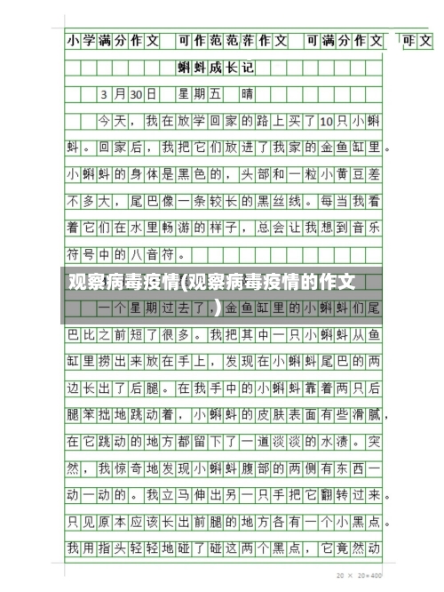 观察病毒疫情(观察病毒疫情的作文)