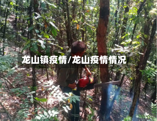 龙山镇疫情/龙山疫情情况-第3张图片