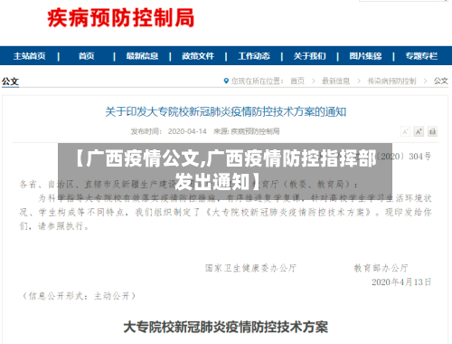 【广西疫情公文,广西疫情防控指挥部发出通知】-第2张图片