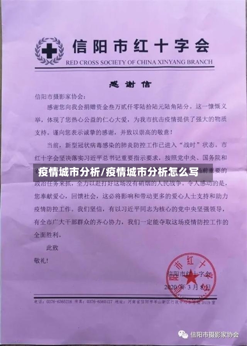 疫情城市分析/疫情城市分析怎么写