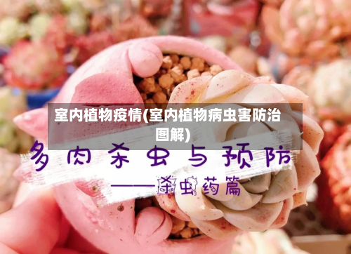 室内植物疫情(室内植物病虫害防治图解)-第2张图片