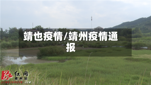 靖也疫情/靖州疫情通报