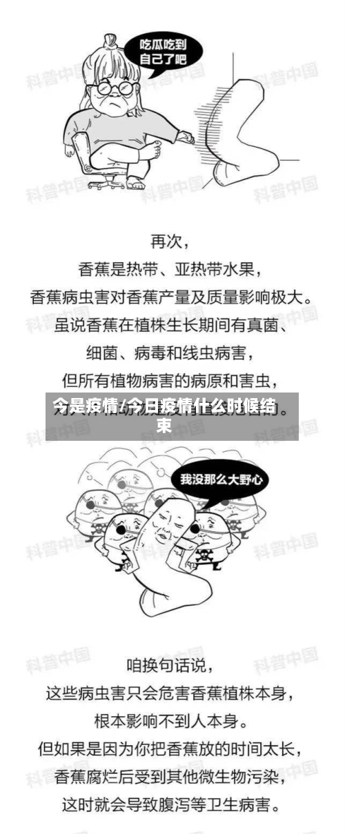 今是疫情/今日疫情什么时候结束