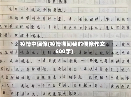 疫情中偶像(疫情期间我的偶像作文600字)