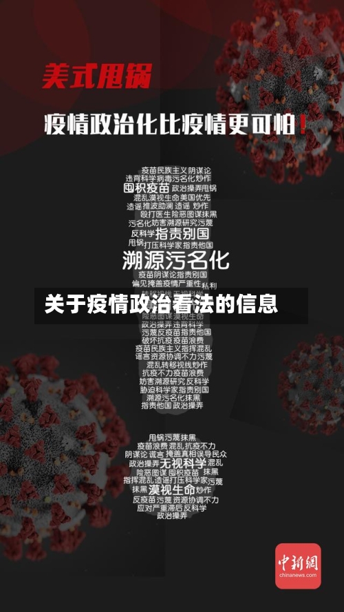 关于疫情政治看法的信息-第2张图片