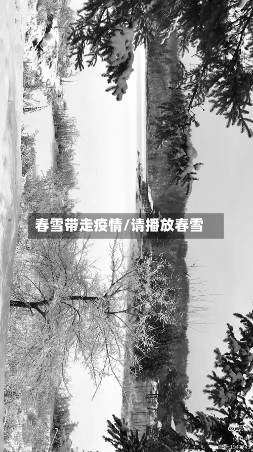 春雪带走疫情/请播放春雪