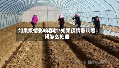 如果疫情影响春耕/如果疫情影响春耕怎么处理