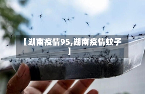 【湖南疫情95,湖南疫情蚊子】