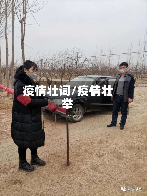 疫情壮词/疫情壮举