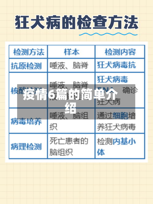 疫情6篇的简单介绍