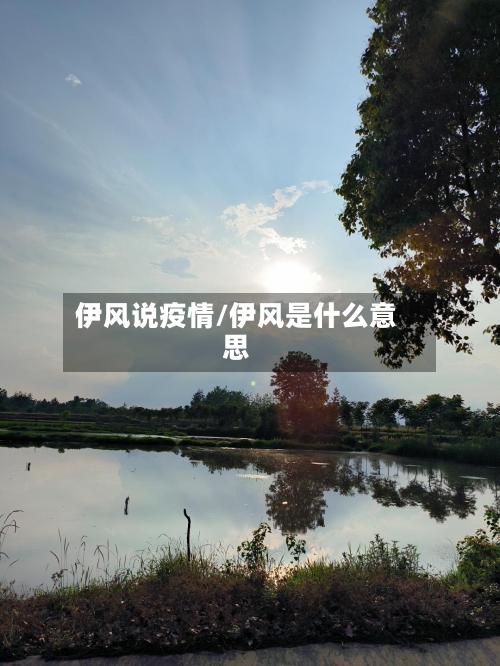 伊风说疫情/伊风是什么意思