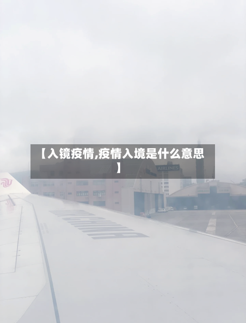 【入镜疫情,疫情入境是什么意思】