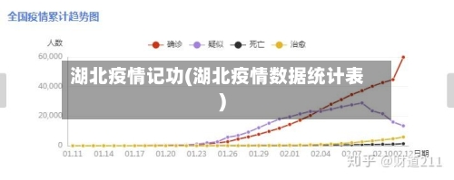 湖北疫情记功(湖北疫情数据统计表)-第2张图片