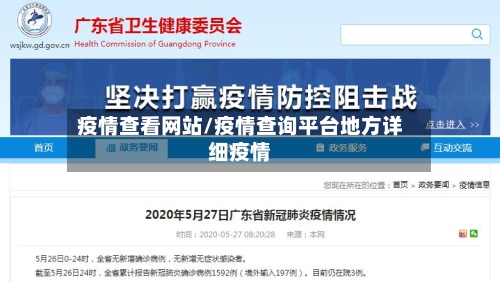 疫情查看网站/疫情查询平台地方详细疫情-第3张图片