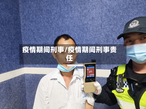 疫情期间刑事/疫情期间刑事责任-第2张图片
