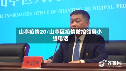 山亭疫情20/山亭区疫情防控领导小组电话