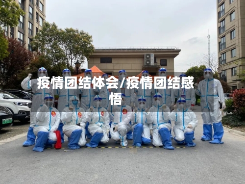 疫情团结体会/疫情团结感悟