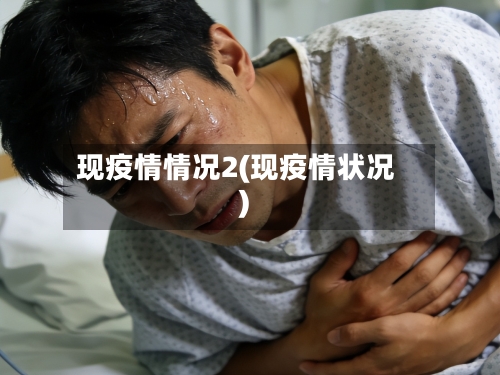 现疫情情况2(现疫情状况)-第3张图片