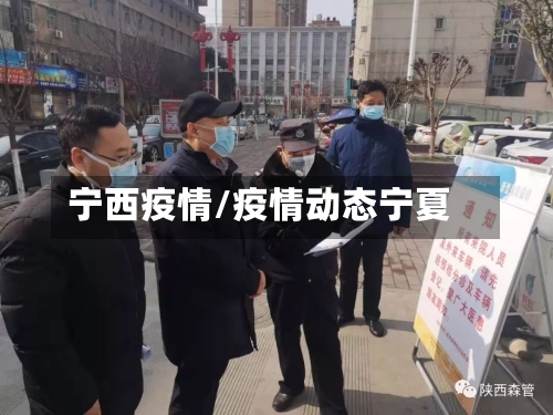 宁西疫情/疫情动态宁夏-第2张图片
