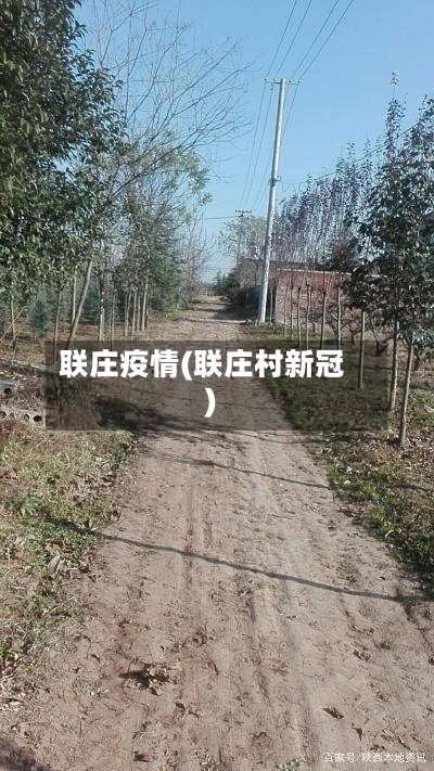 联庄疫情(联庄村新冠)