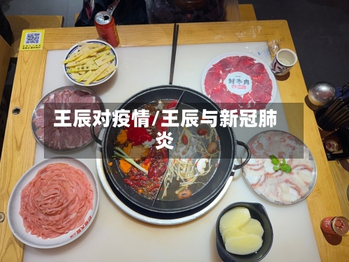 王辰对疫情/王辰与新冠肺炎-第2张图片