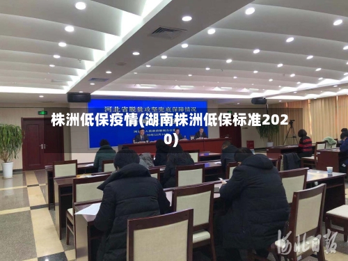 株洲低保疫情(湖南株洲低保标准2020)-第2张图片
