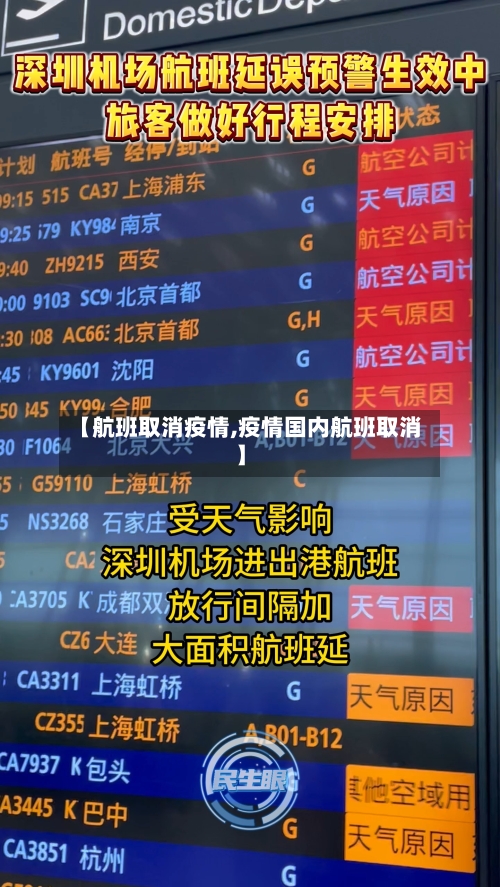 【航班取消疫情,疫情国内航班取消】-第2张图片