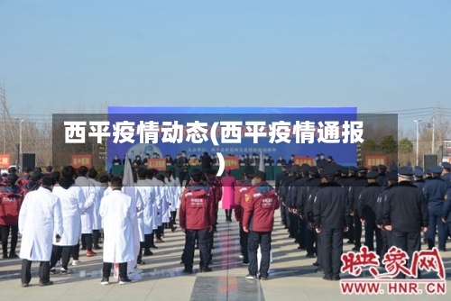 西平疫情动态(西平疫情通报)