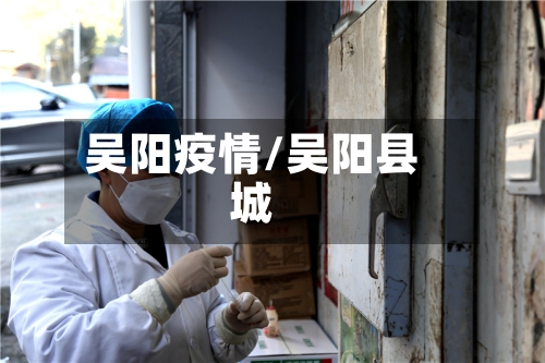 吴阳疫情/吴阳县城