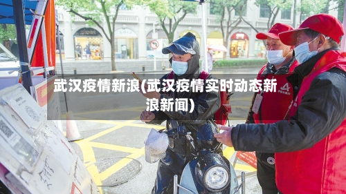 武汉疫情新浪(武汉疫情实时动态新浪新闻)-第2张图片
