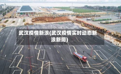 武汉疫情新浪(武汉疫情实时动态新浪新闻)-第3张图片