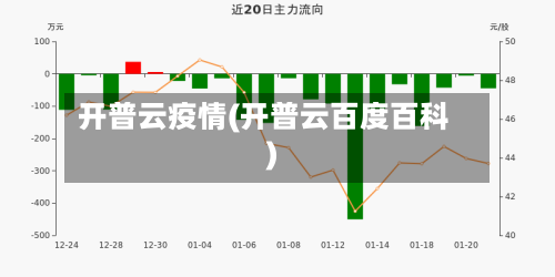 开普云疫情(开普云百度百科)-第2张图片