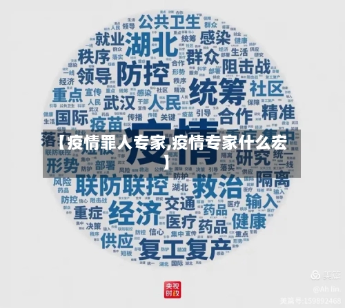 【疫情罪人专家,疫情专家什么宏】