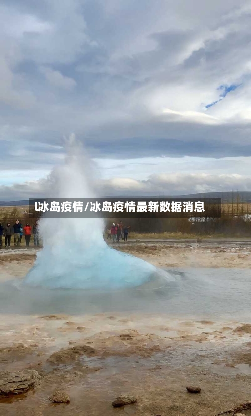 l冰岛疫情/冰岛疫情最新数据消息-第3张图片