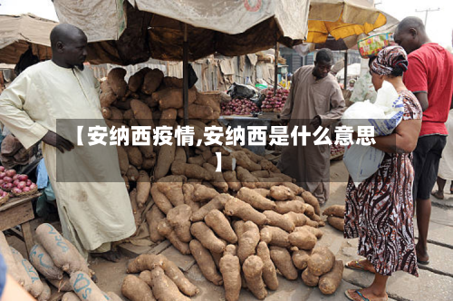 【安纳西疫情,安纳西是什么意思】