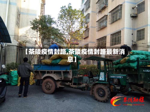 【茶陵疫情封路,茶陵疫情封路最新消息】