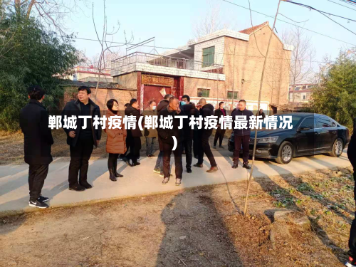 郸城丁村疫情(郸城丁村疫情最新情况)-第2张图片