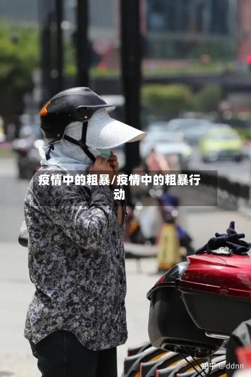 疫情中的粗暴/疫情中的粗暴行动