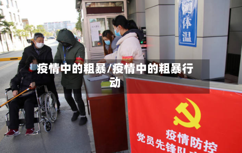 疫情中的粗暴/疫情中的粗暴行动-第2张图片