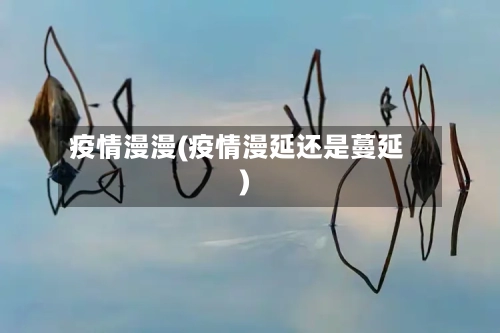 疫情漫漫(疫情漫延还是蔓延)